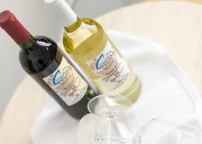 Hotel Caprice - In Centro A 3*